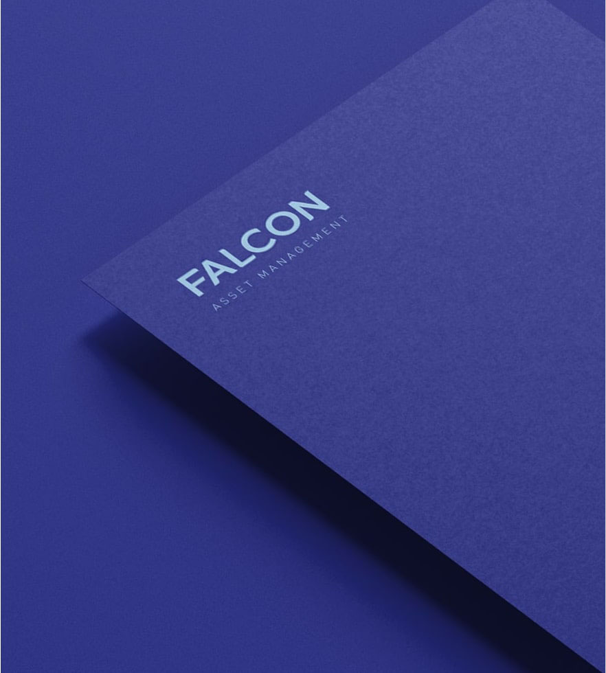 Falcon Project image 165